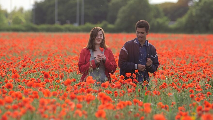 A girl and a boy standing in a field of poppies