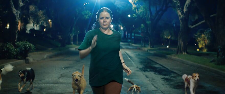 A woman runs down a road at night flanked by dogs. 